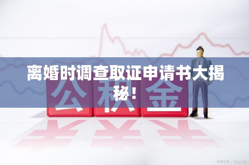 龙海离婚时调查取证申请书大揭秘！