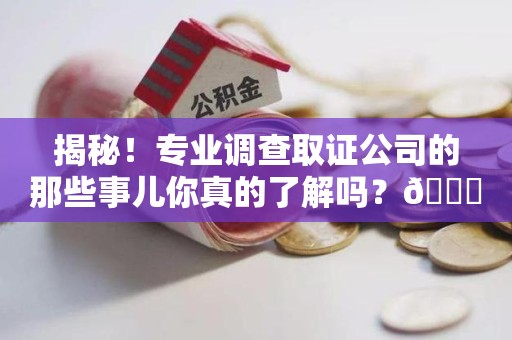 龙海揭秘！专业调查取证公司的那些事儿你真的了解吗？😎